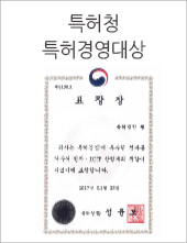 특허청 특허경영대상